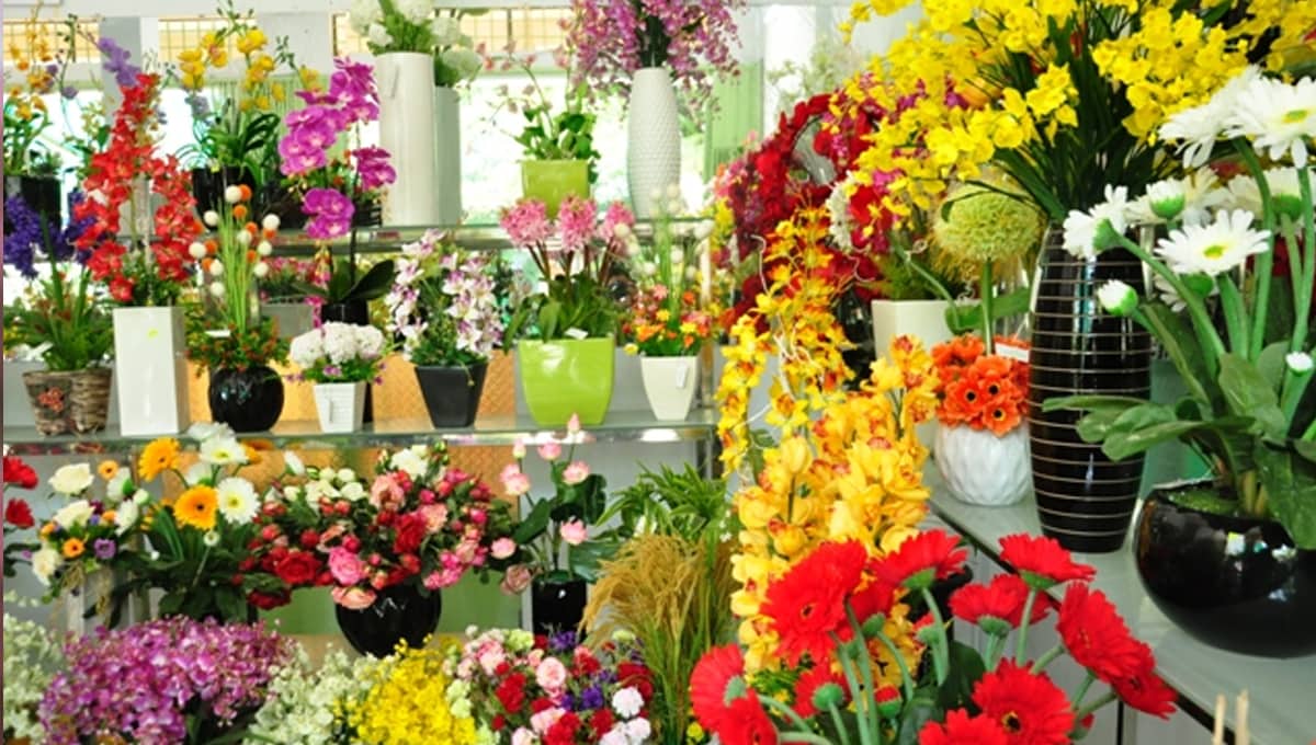 Hoa trưng ngày Tết Bính Ngọ 2026 để rước đầy lộc lá về nhà