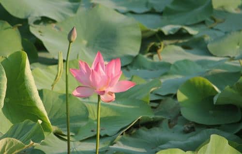 Duong tat thu ba: An chay